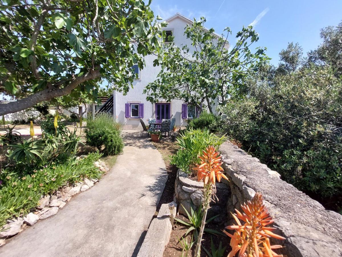 Casa Di Castello Lägenhet Mali Lošinj Exteriör bild